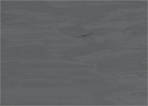 Specjal 43 S Vinyl Flooring 1145 0016 0
