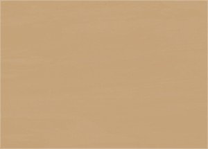 Specjal 43 S Vinyl Flooring 1145 0041 0