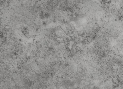 Rekord 41 Vinyl Flooring 1227 5215 0