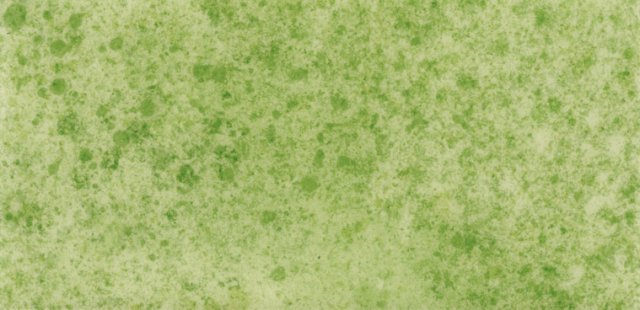 Rekord 42 Vinyl Flooring 1228 1064 0
